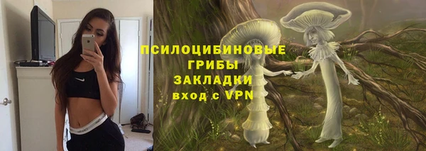 индика Лагань