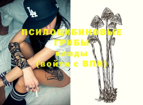 стаф Лабытнанги