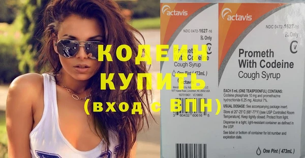 индика Лагань