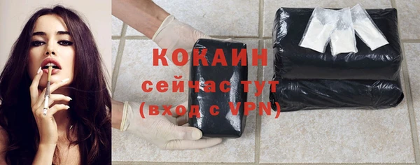 индика Лагань