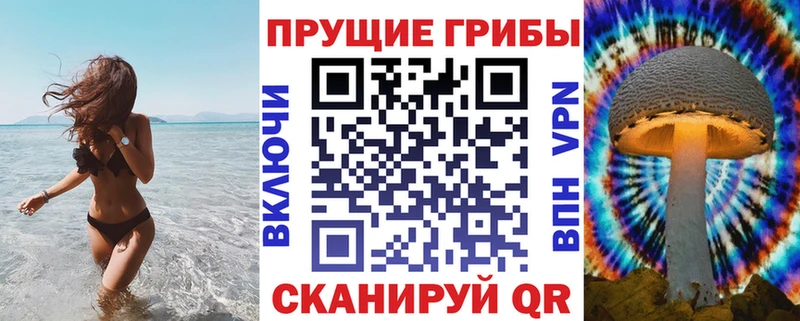 KRAKEN онион Ноябрьск Галлюциногенные грибы Magic Shrooms закладка